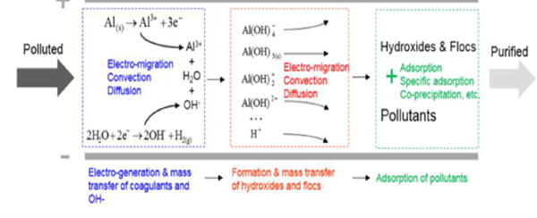Mecanismo de reaccion de electrocoagulacion y Transferencia de masa - Flowen.com.pe